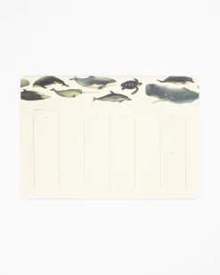 Cognitive Surplus Whale Notepads - Ocean Market Pad | * Notepads | Ornithology