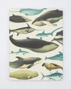 Cognitive Surplus Whales & Seals Softcover Notebook | Recycled Notebook* The Experiment | Marine Biology