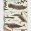 Cognitive Surplus Whales, Sharks & Seals Spiral Notebook | * The Helix | Marine Biology